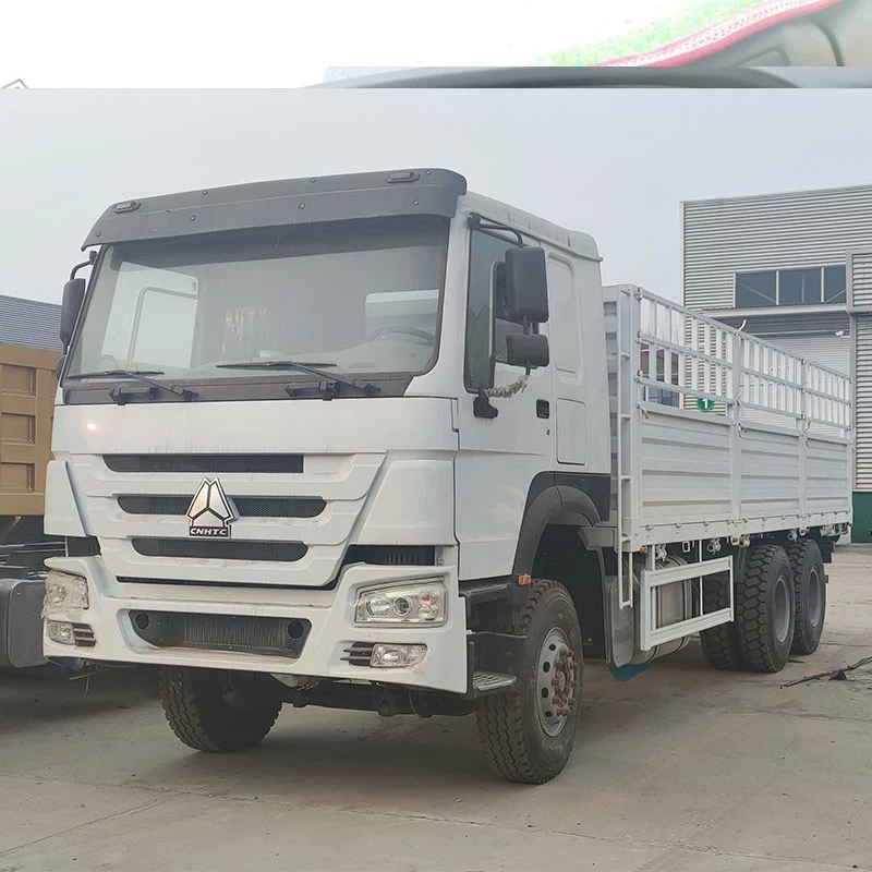 HOWO 6x4 Cargo Truck (5)